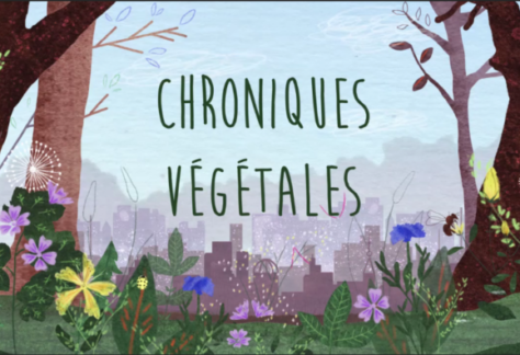 chroniques vegetales