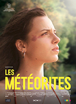 lesmeteorites