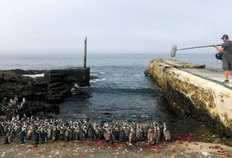 A l’écoute de la nature