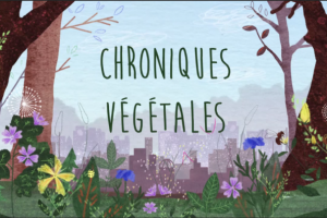 chroniques vegetales